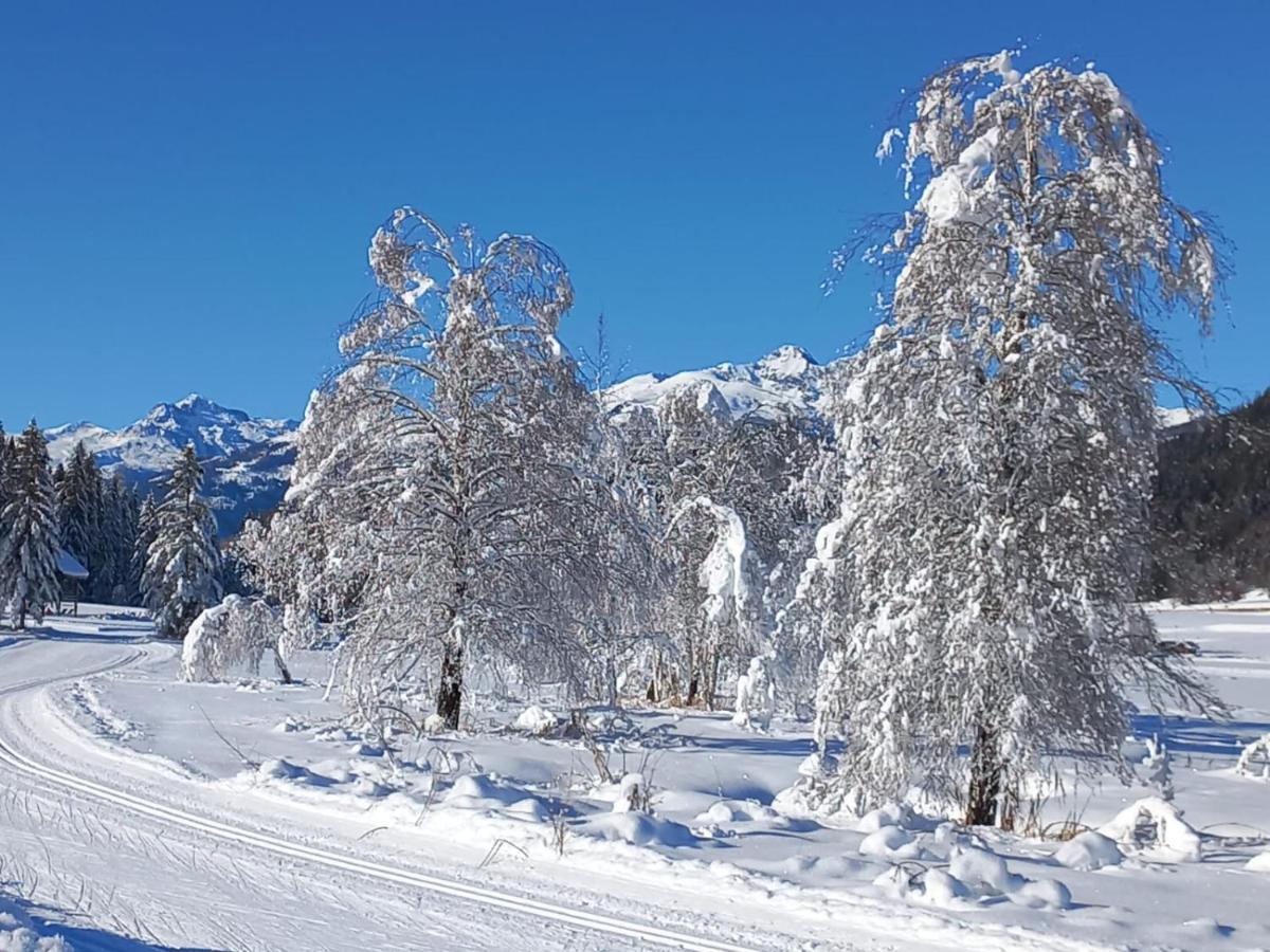 Apartmán Landhaus Vogel Weissensee Exteriér fotografie