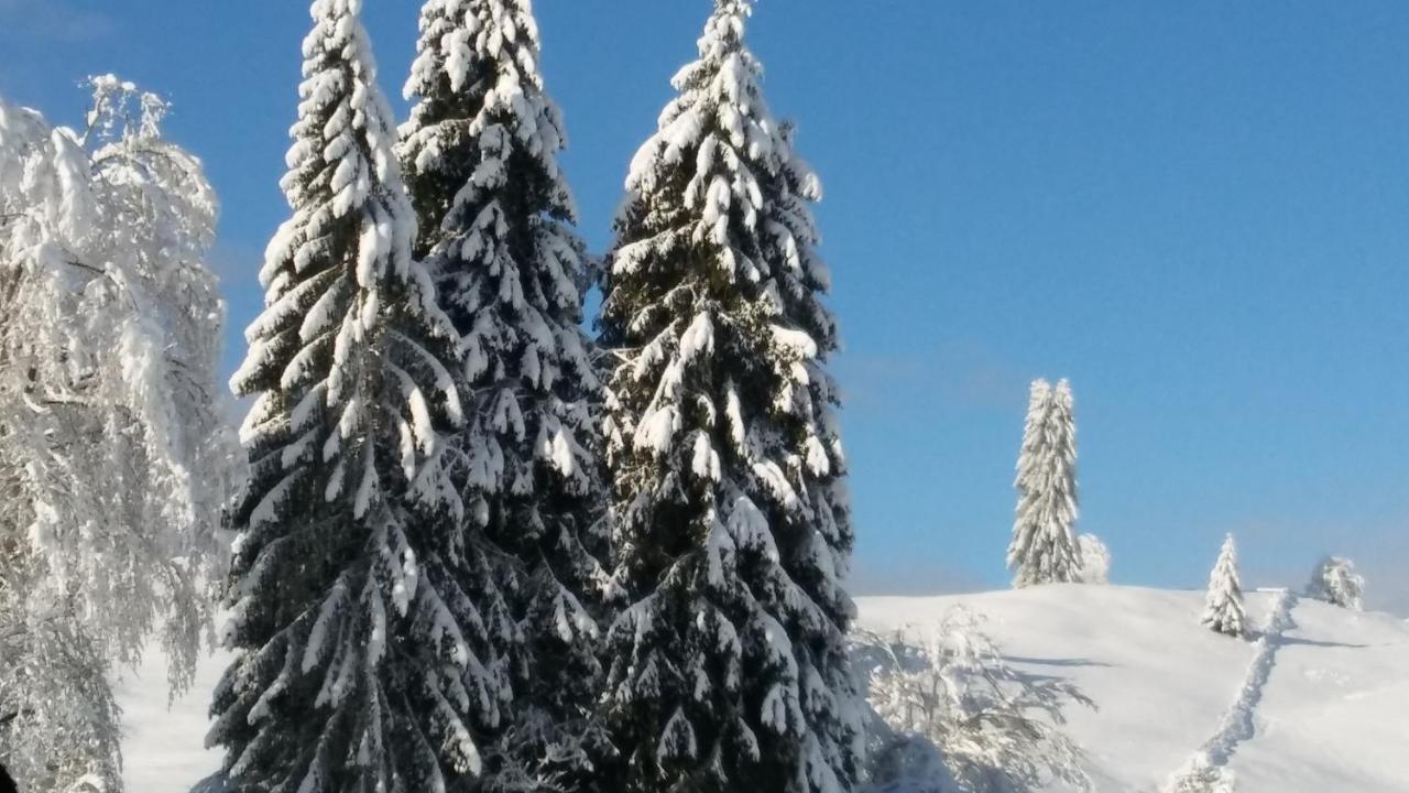 Apartmán Landhaus Vogel Weissensee Exteriér fotografie