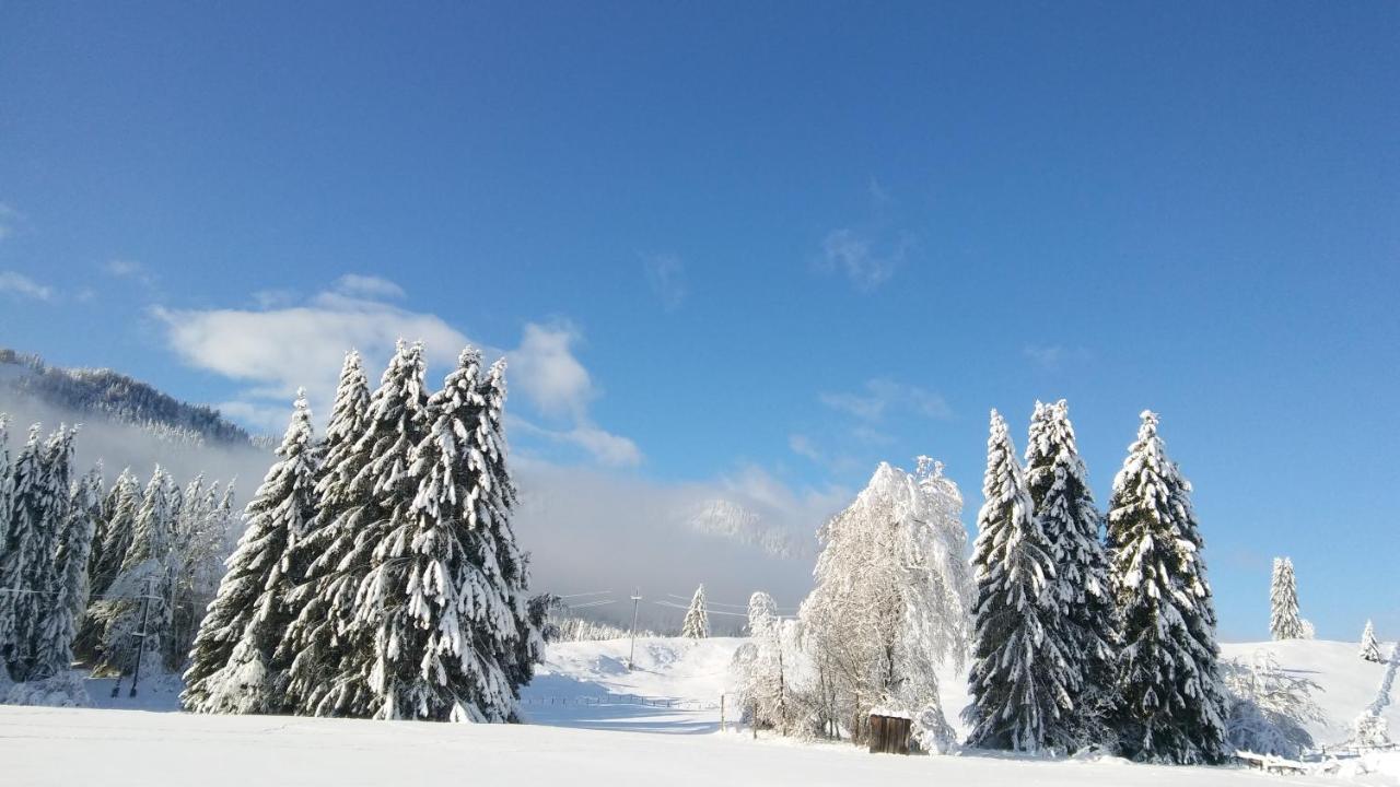 Apartmán Landhaus Vogel Weissensee Exteriér fotografie